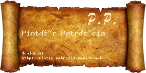 Pintér Patrícia névjegykártya